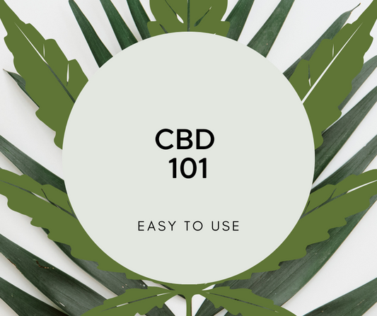 CBD 101: What It Is and the Benefits of Using It Topically