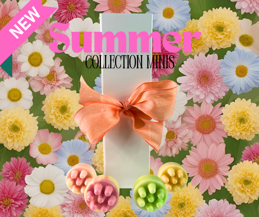 Summer Sampler Set | Body Butter Lotion Bar Minis